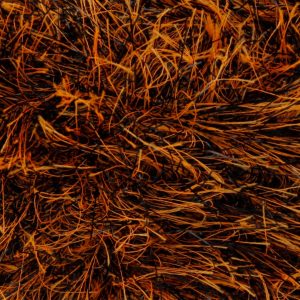 King Cole Tinsel Chunky 1994 Foxy  RRP £3.09