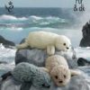 King Cole Pattern 9023 Luxe Fur Seals