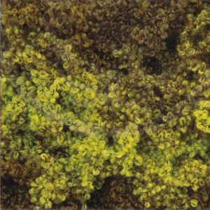 Lanas Stop Enebro 203 Greens  RRP £8.49