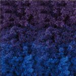 Lanas Stop Enebro 285 Purple/Royal blue RRP £8.49