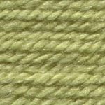Stylecraft Life DK 2311 Fern   RRP £3.45