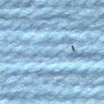 Stylecraft Life DK 2357 Aqua   RRP £3.45