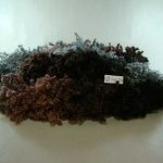 Schoeller + Stahl Zarina 02 Quartz  RRP £7.92