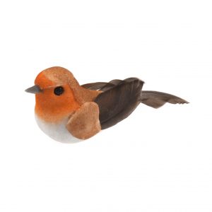 Small Robin Feathered on Wire