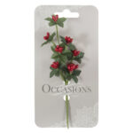 Berry Branch: 6 x 1 Stem: Red
