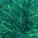 King Cole Tinsel Chunky 3472 Mistletoe  RRP £3.09