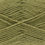 King Cole Big Value DK 50gm 4059 Leaf  RRP £1.22