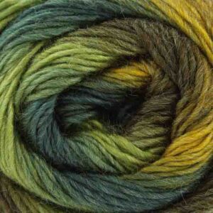King Cole Riot DK 1689 Foliage  RRP £5.71